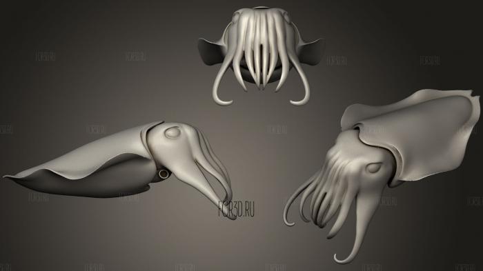 Cuttlefish stl model for CNC